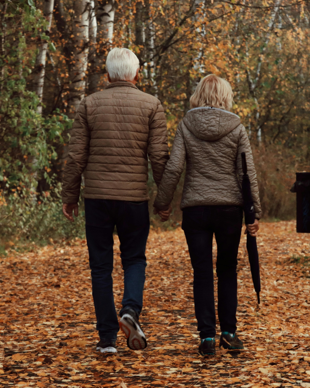 <input type="image" src="retirement.png" alt="Retirement Planning">